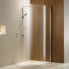 Shower curved glass 1